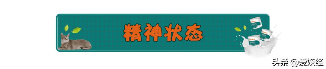 修正宠物羊奶粉测评,reddog红狗羊奶粉测评