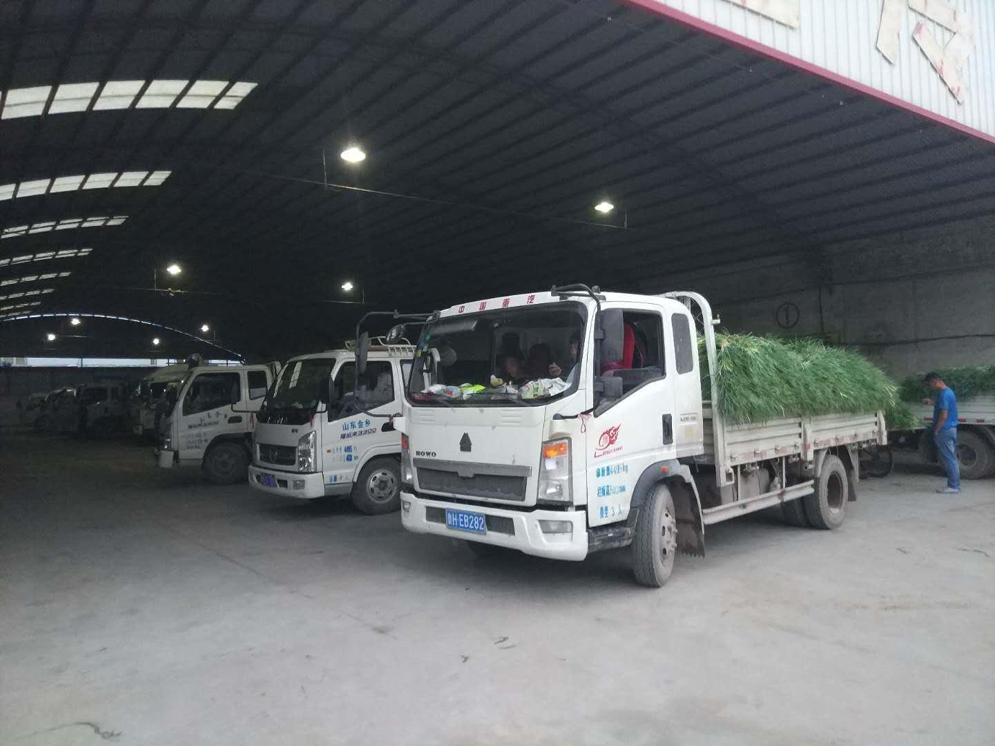 没学历小伙子在工厂打工,没学历小伙成为富翁