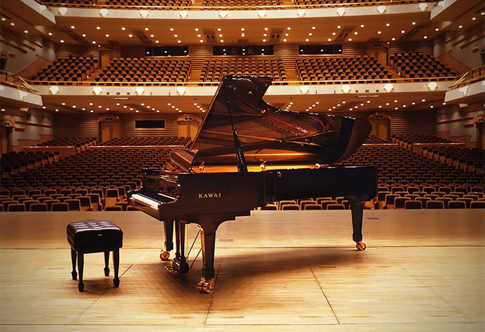 电子琴和电钢琴怎么选择,电子琴和电钢琴哪个更适合初学者