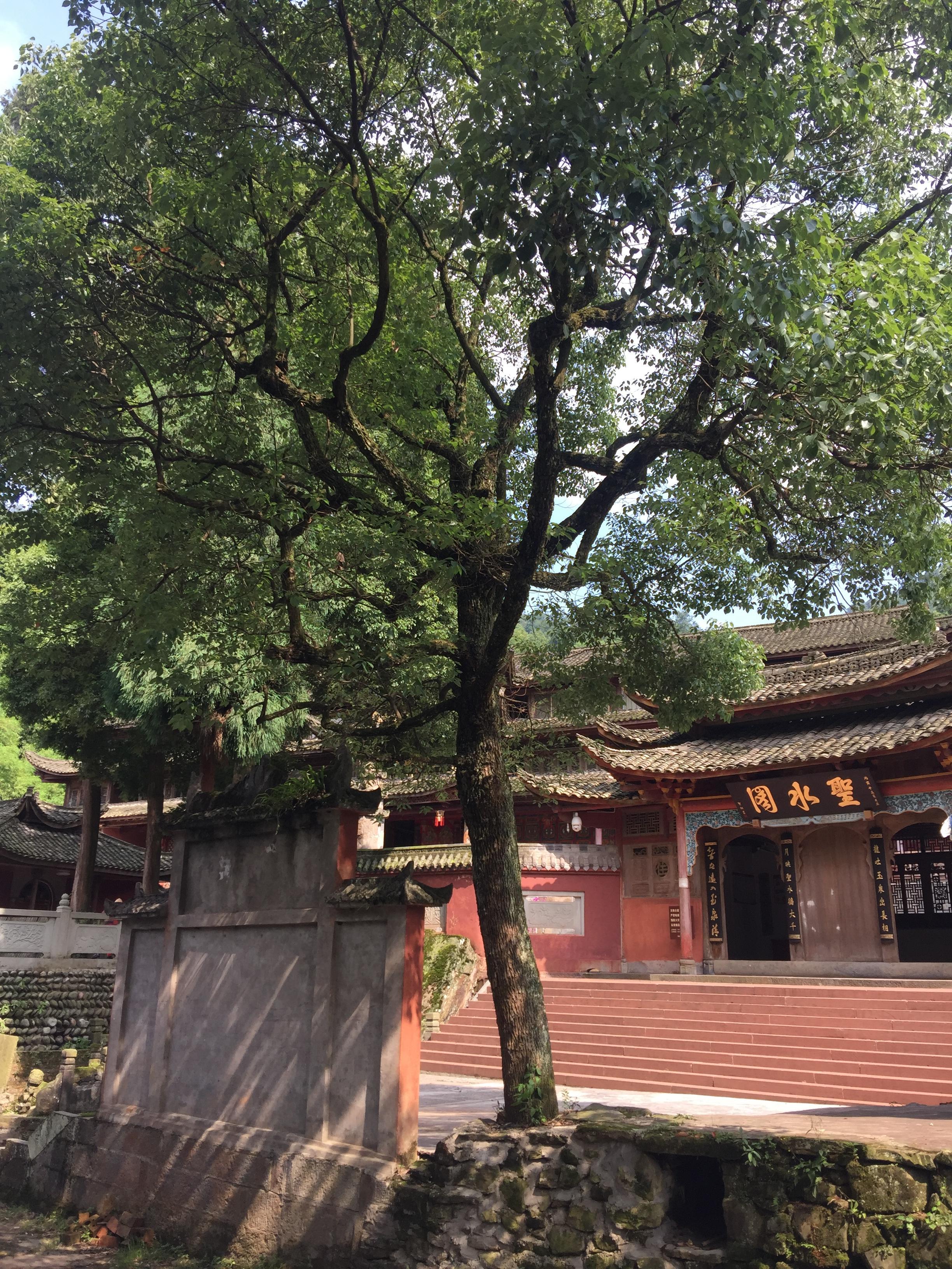 峨眉山登顶佛像,峨眉山登顶记完整版