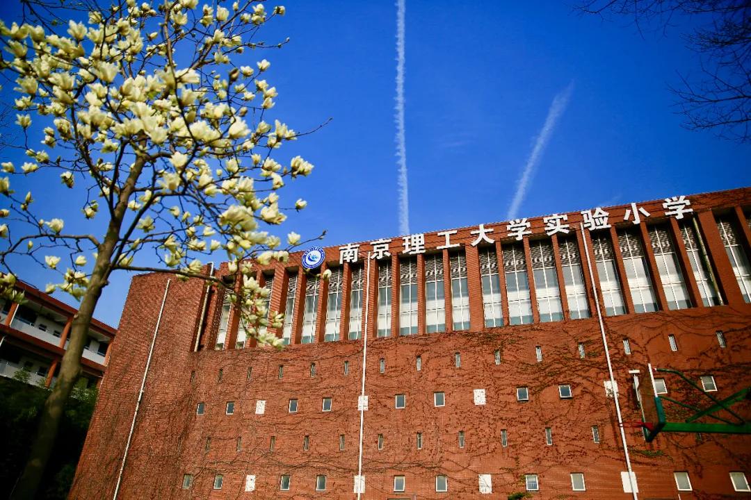 南京比较好的小学学校排名,南京名校小学最新排名