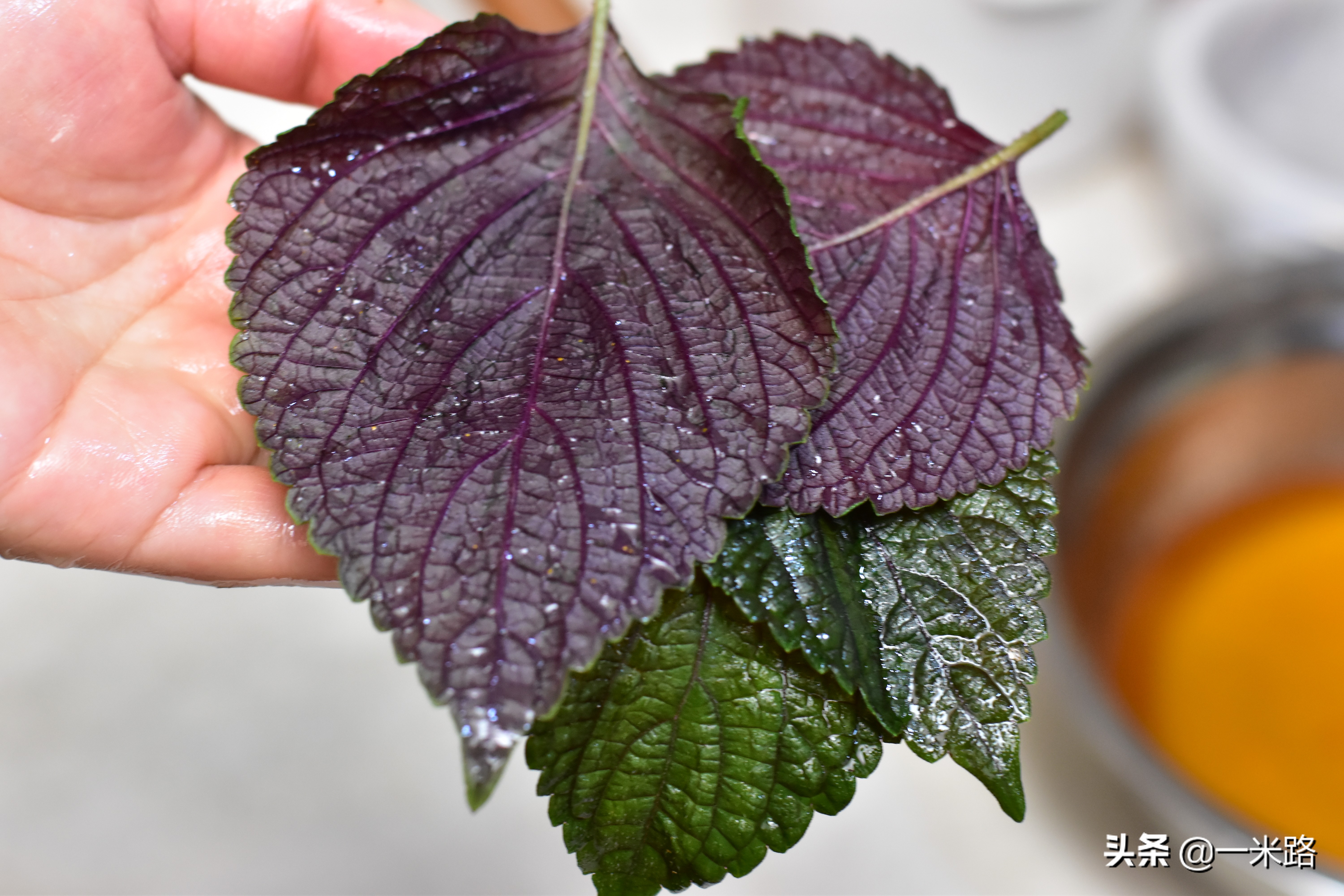 麻辣小龙虾的绝配是魔芋豆腐,又麻又辣多汁,吃起来真带劲