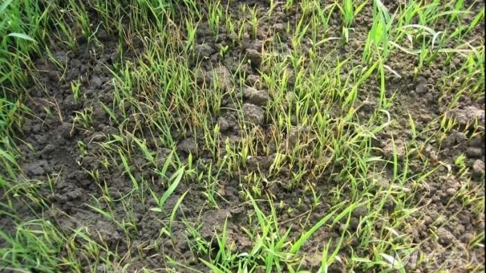 绉ц嫍鍙楀喎绌烘皵褰卞搷鍐诲潖鎬庢牱瑙e喅,闃叉绉ц嫍鍙楀喕搴旇鎬庝箞鐏屾按