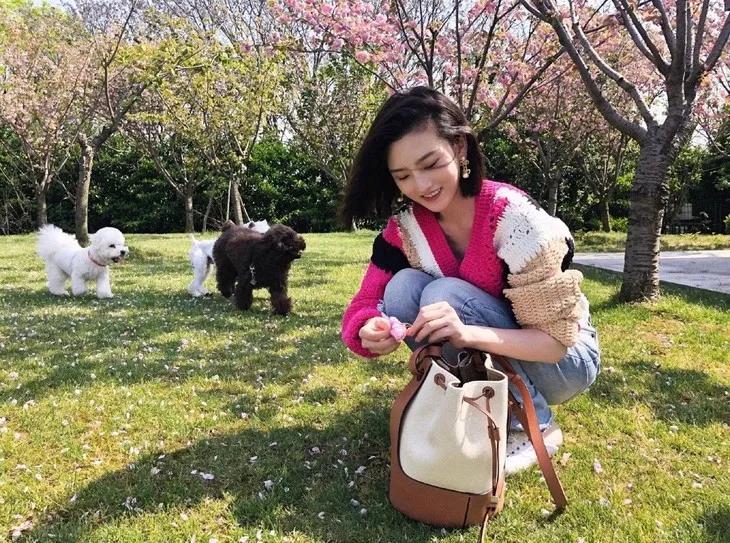 jennie同款提花高领毛衣,jennie同款开衫毛衣