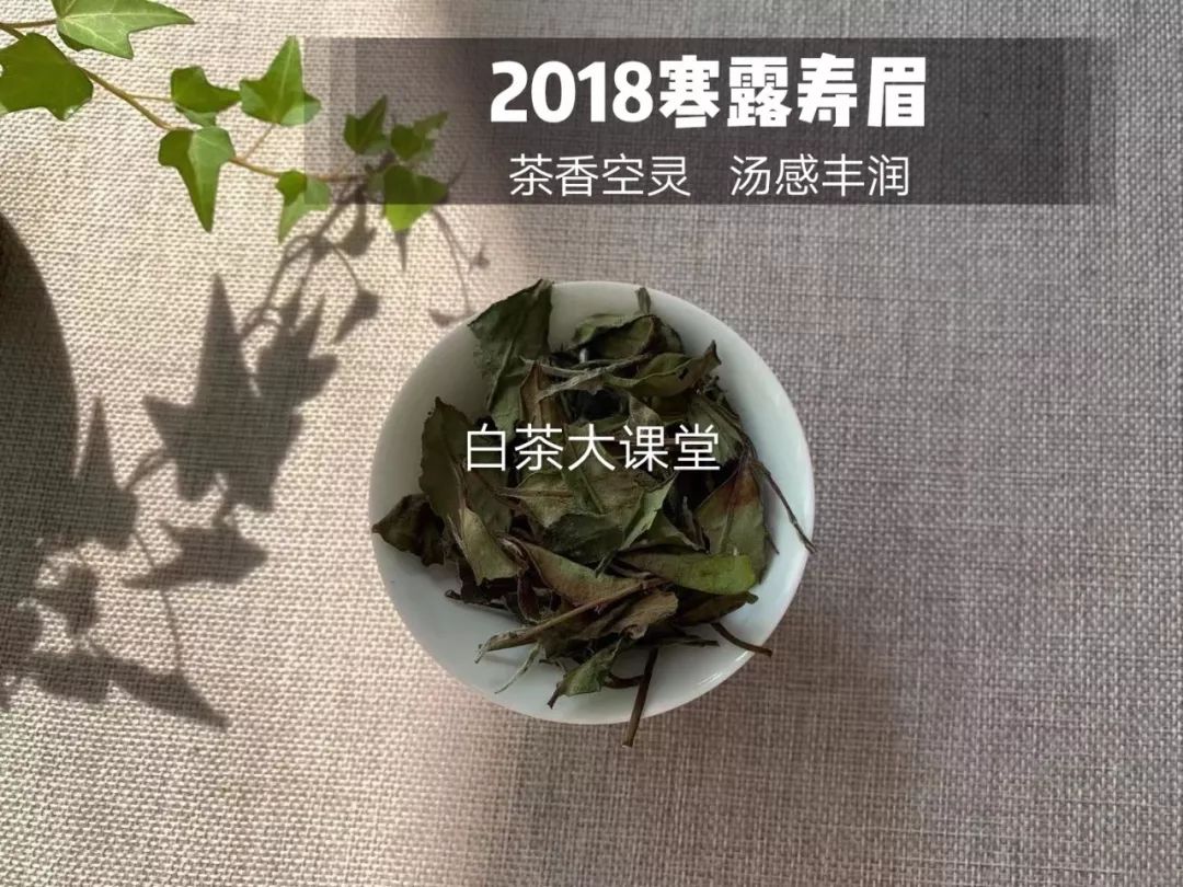 新白茶寒凉像绿茶，老白茶喝起来则像红茶？这种说法有道理吗？
