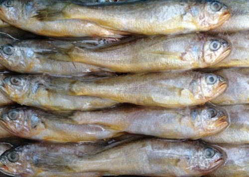 5种长相丑陋但很鲜美的海鲜,5种公认最好吃的海鱼品种