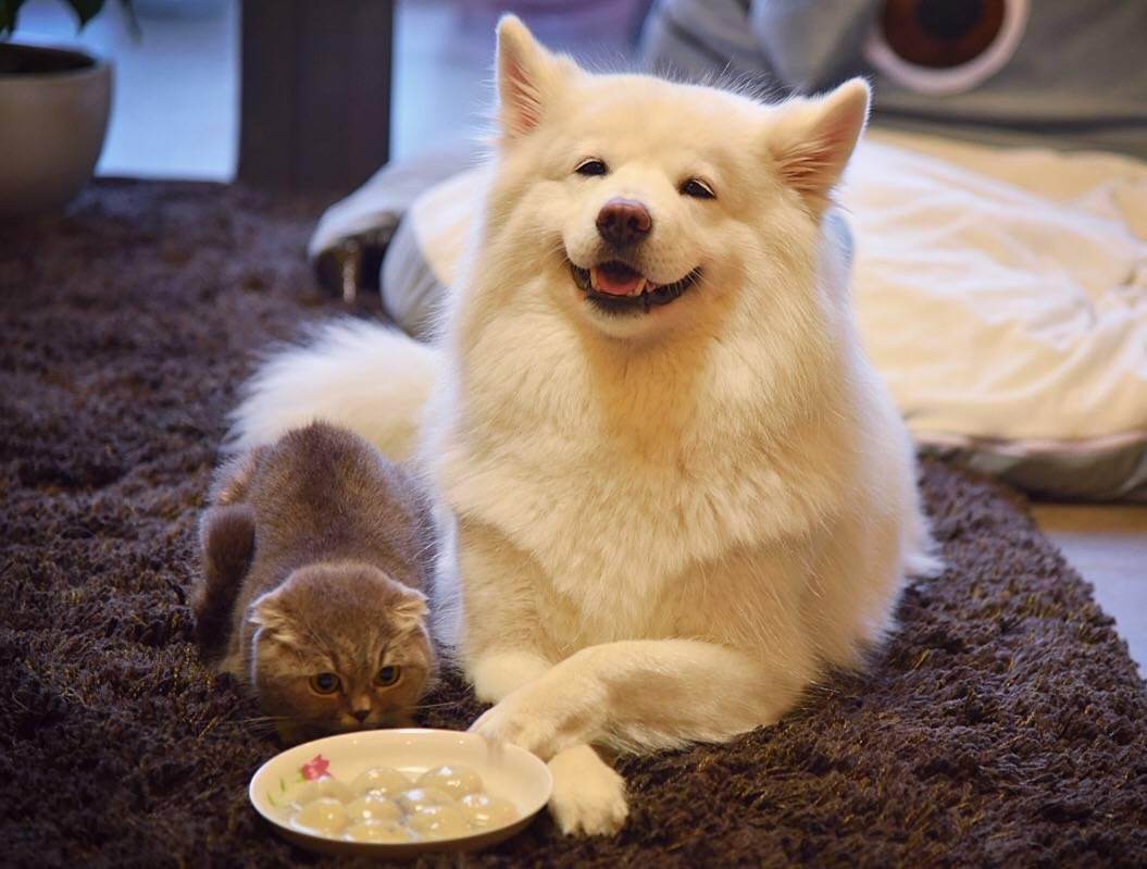 生活小知识：厨房的地板潮湿怎么办？七招教你解决烦恼