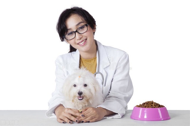 兽医疾病的分类和治疗原则,中兽医的基本知识