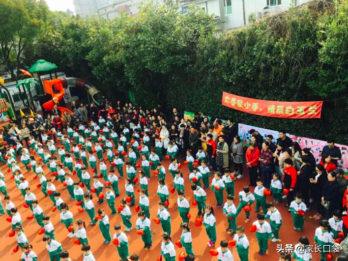 均价4000上双语！上海这8所双语园性价比超高