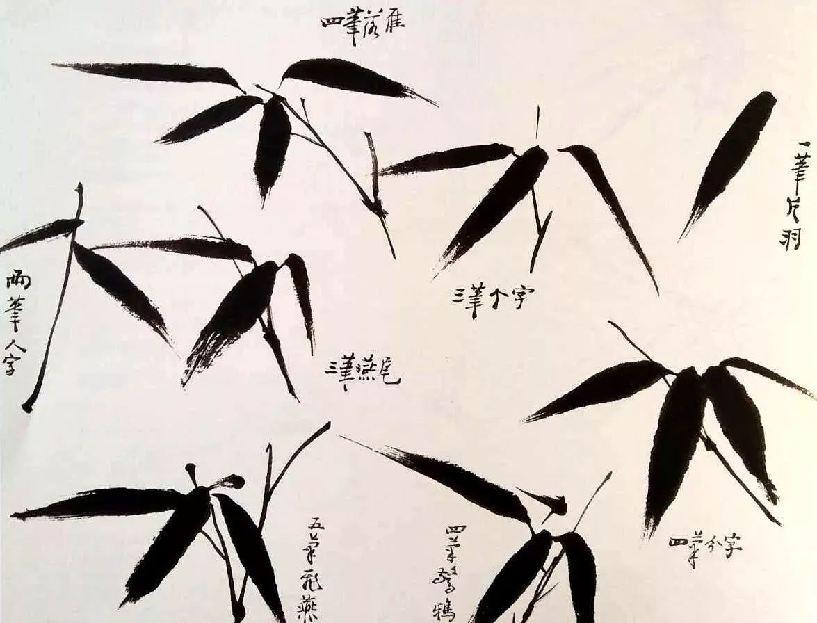 陆抑非画竹欣赏,陆抑非竹子画作品欣赏