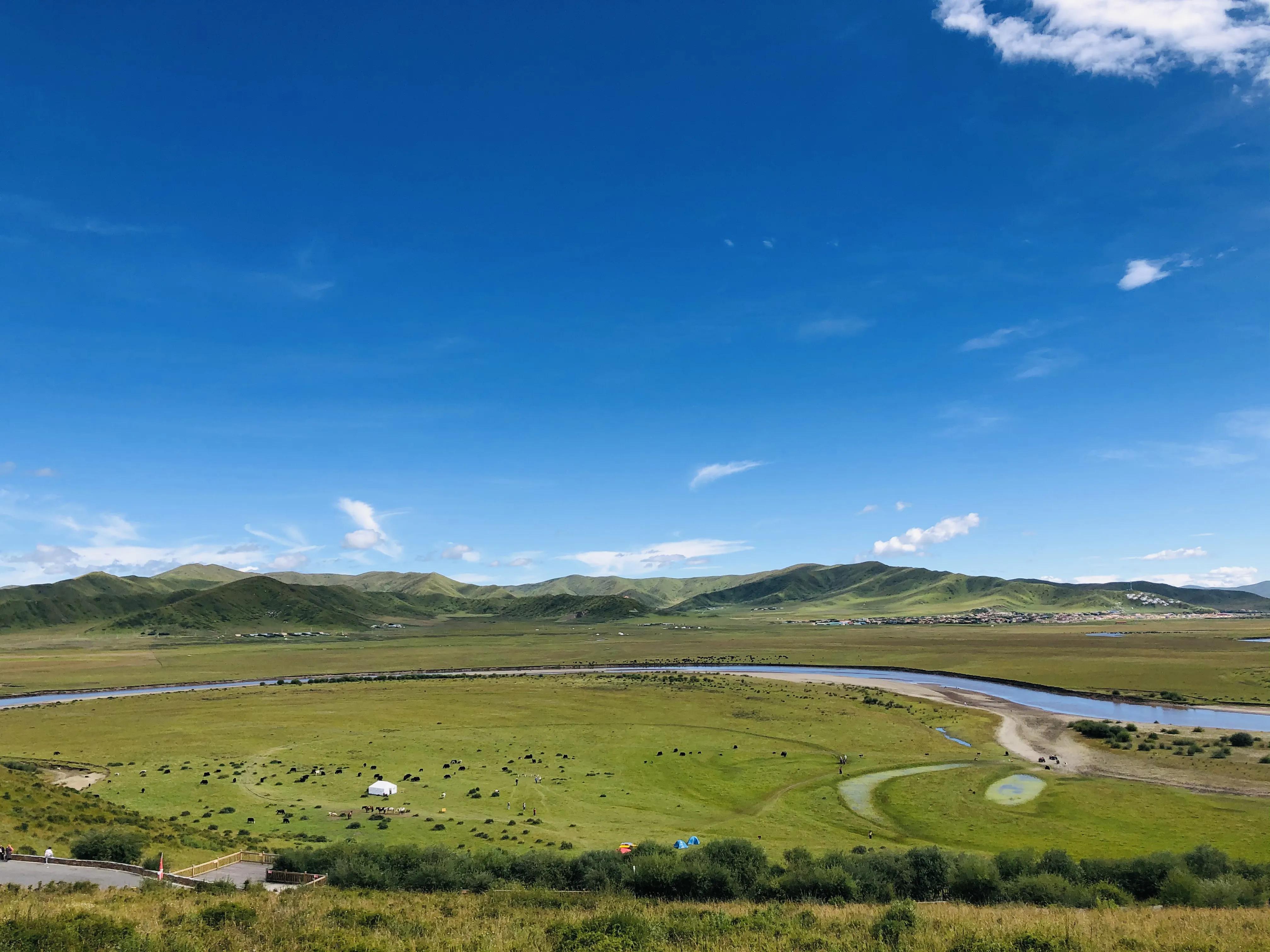 红原若尔盖四日自驾,红原若尔盖三日游组团自驾