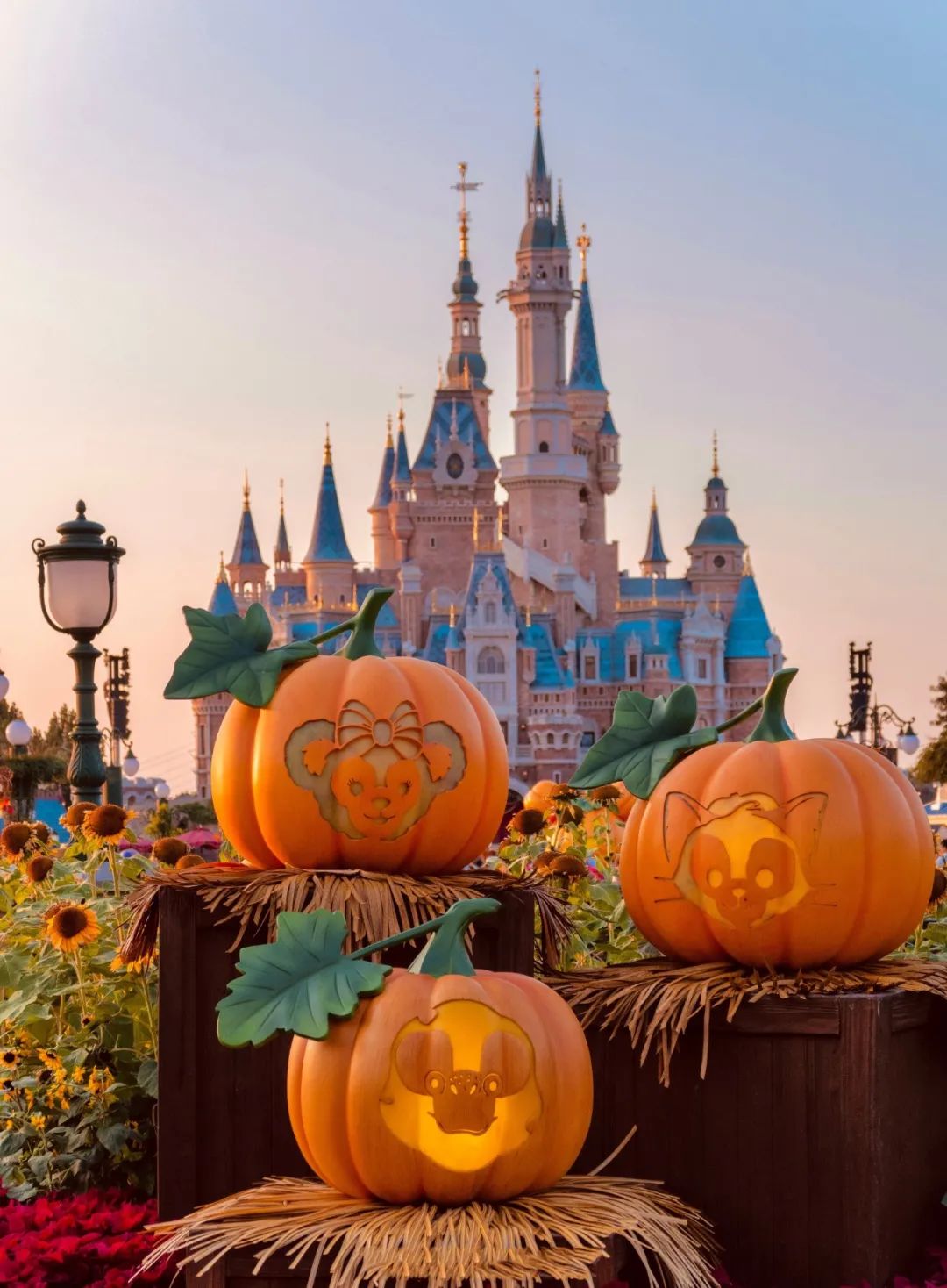 长春出发特价机票四月,长春出发双人旅游套餐含机票团购