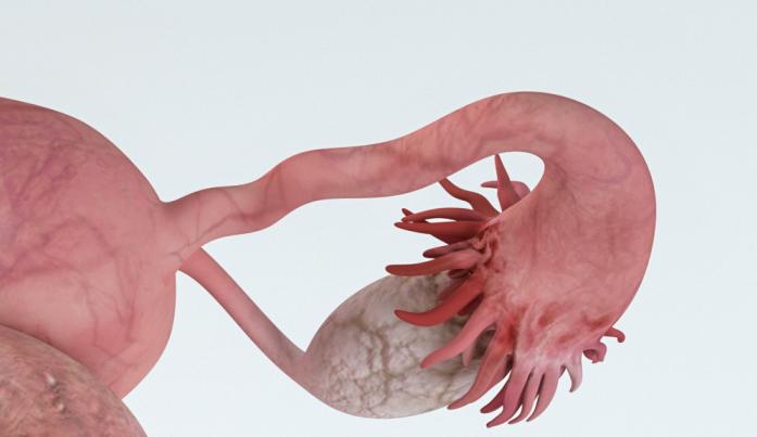 30岁月经变少正常吗,30岁就早衰怎么办