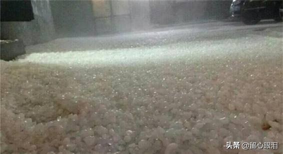 足坛历史十大冤案,足坛十大惨案完整版