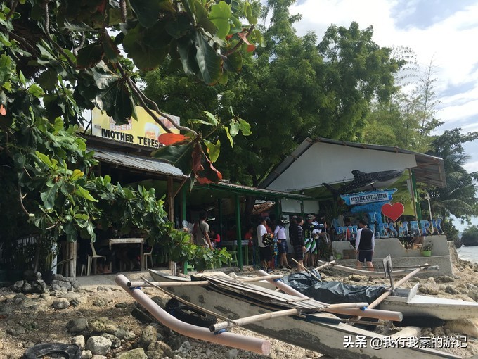 想去看鲸鲨？这里可以满足你