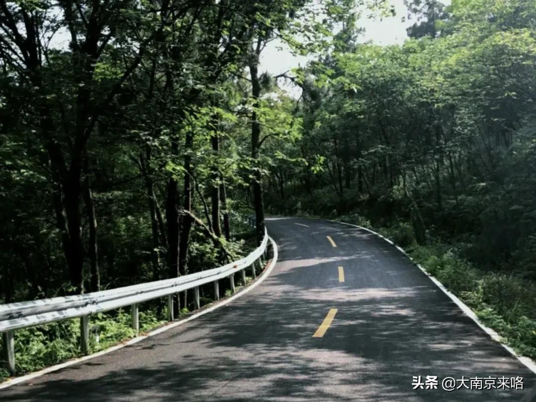 2020江苏省最美乡村道路评选结果,中国十大美丽乡村南京