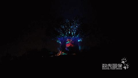 中秋国庆灯光秀节目单,国庆中秋灯光秀视频