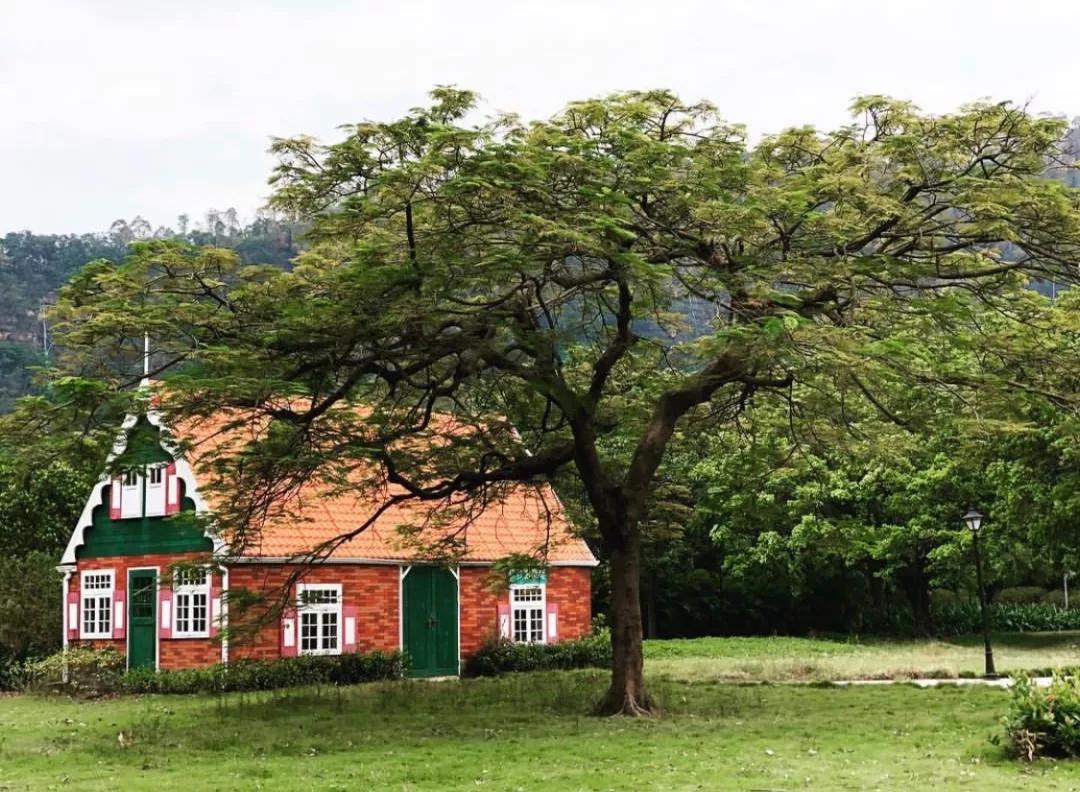 广州国际邮轮母港,广州新国际邮轮母港
