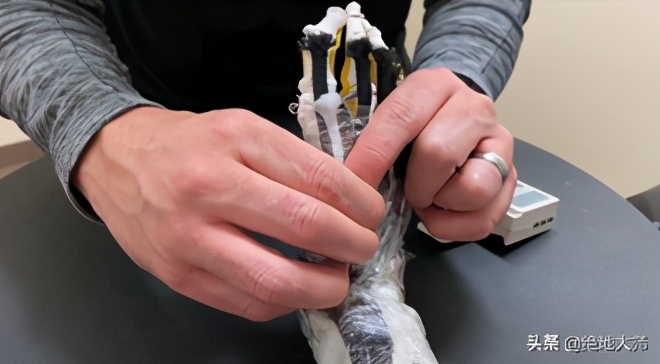 足踝活动受限康复训练视频,足踝功能恢复训练