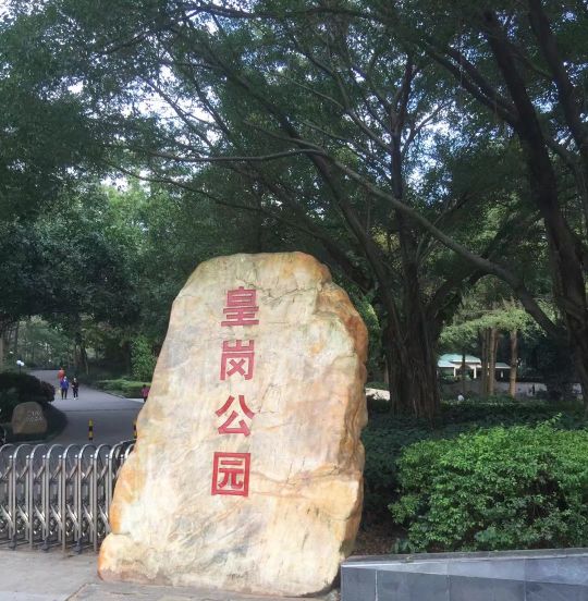深圳五十个免费景区,深圳五一免费公园