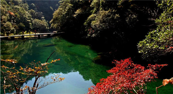 文成避暑旅游攻略路线图,冬天文成景点一日游攻略