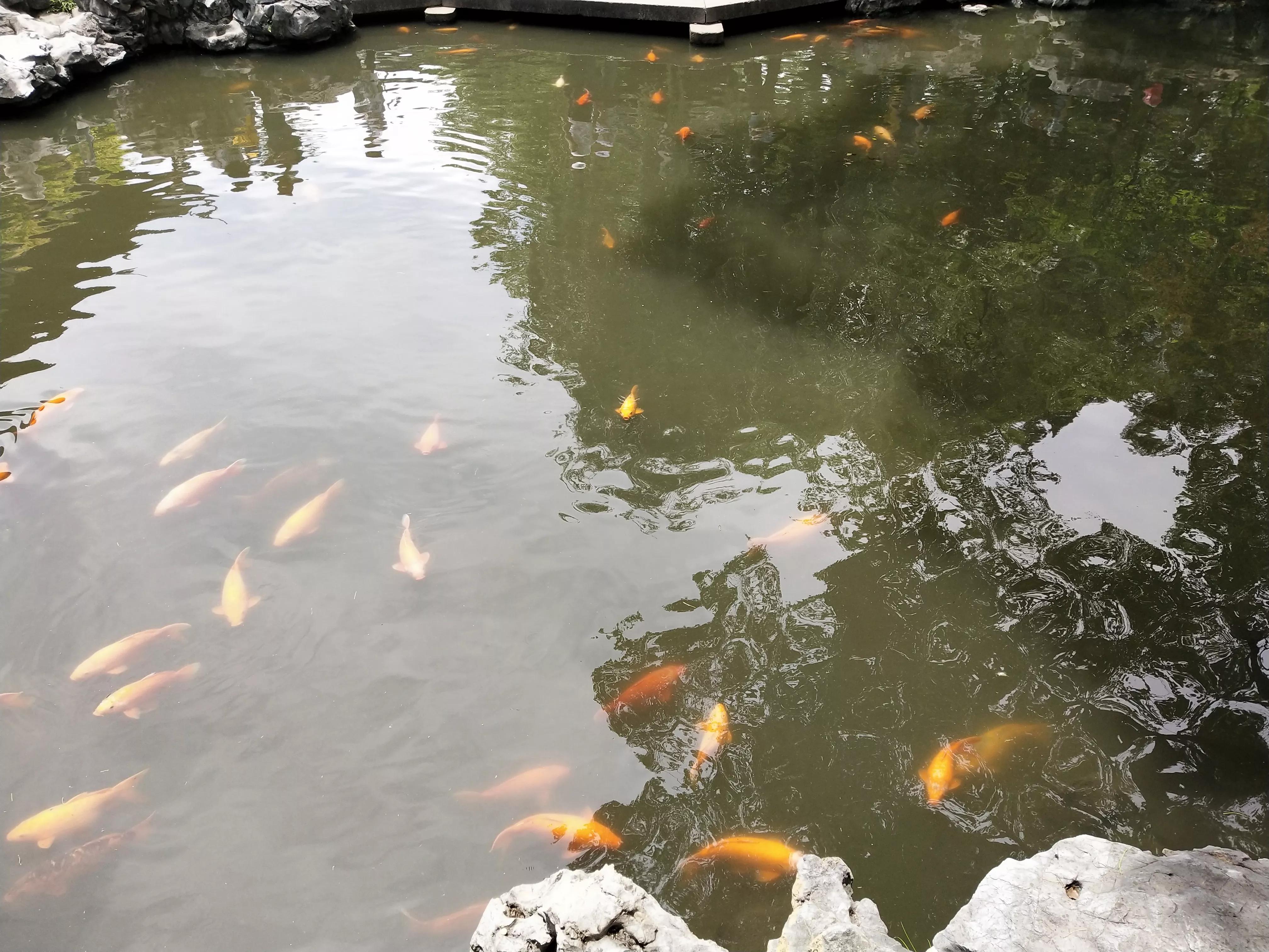 华东五市旅游景点,美景华东五市游