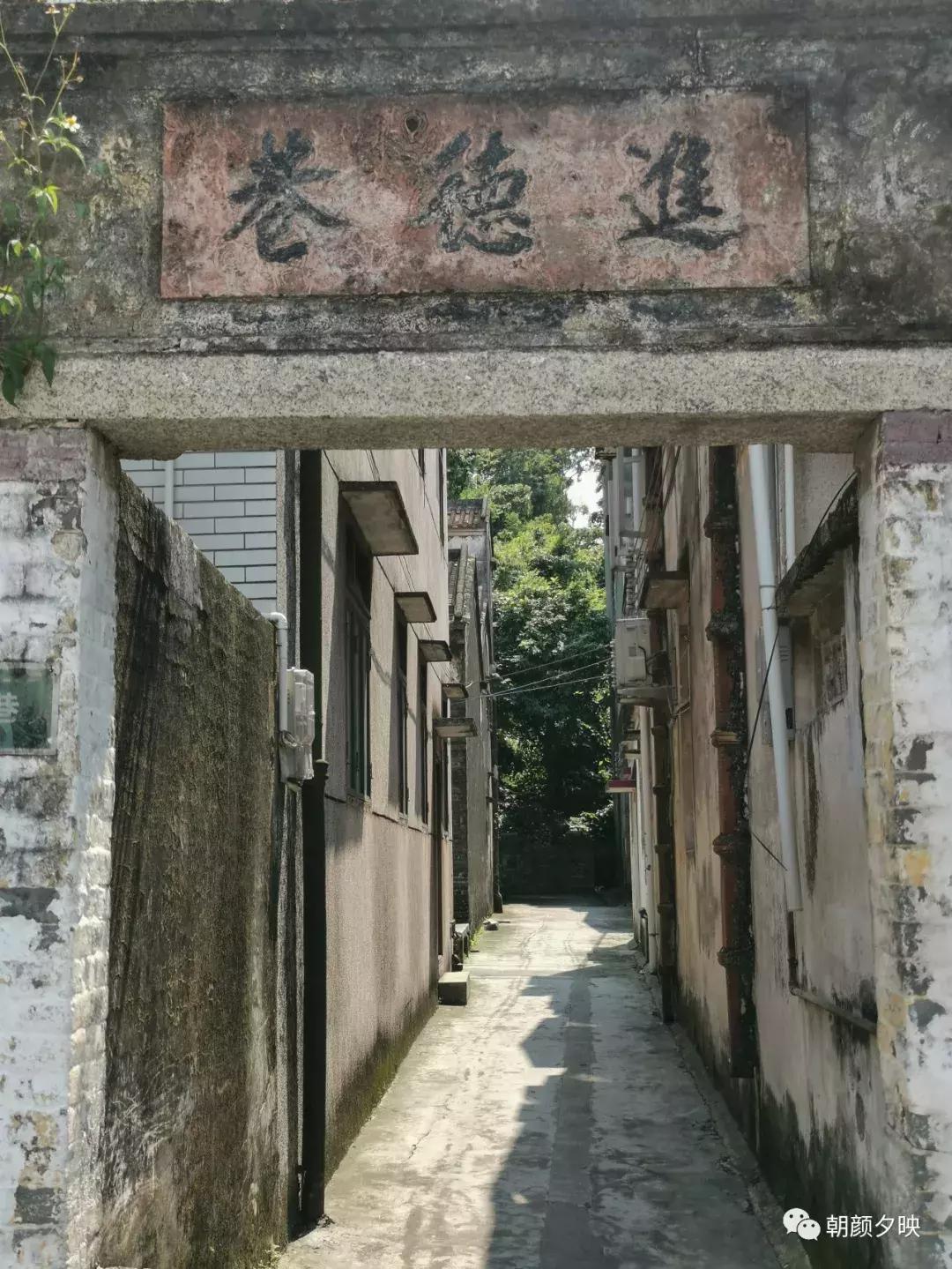 岐阳梧桐起凤环，鹭兮鹭兮寻不见（上）