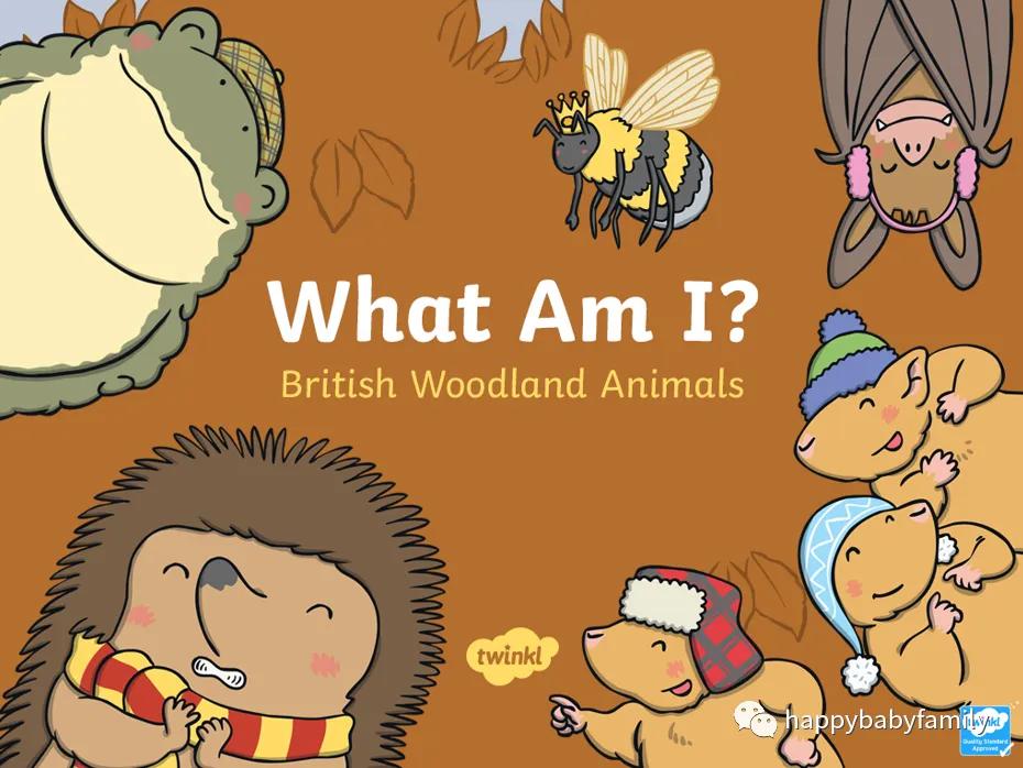 卡通小动物ppt免费,幼儿园卡通动物ppt免费图片