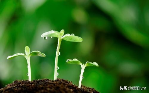 真实的癌症患者自述反面教材,癌症患者自述需要家人的关心