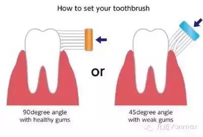 怎么刷牙才能去除牙菌斑,防止牙菌斑正确刷牙方法