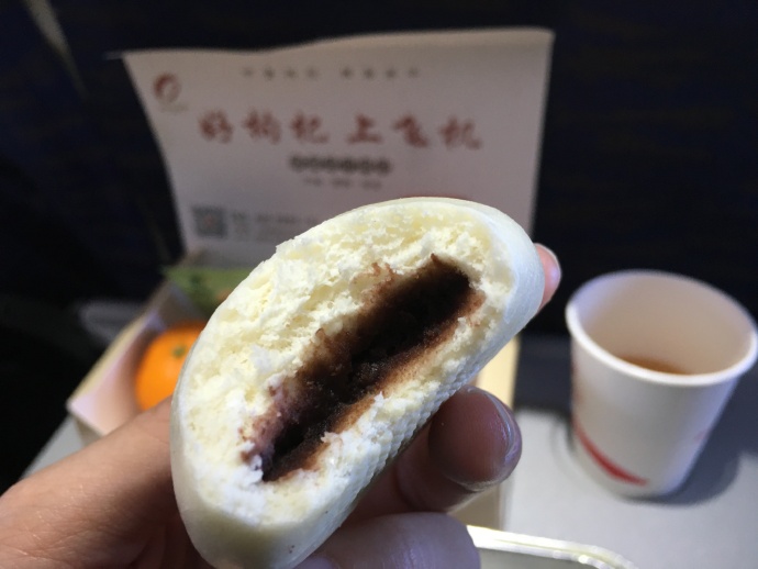 回家过年推荐飞机,过年回家飞机火车哪个最安全