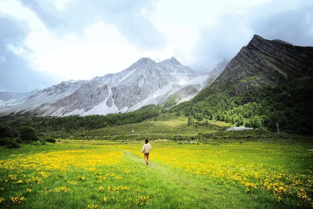 阜阳在线旅行社推荐,阜阳在线旅行社基础运营