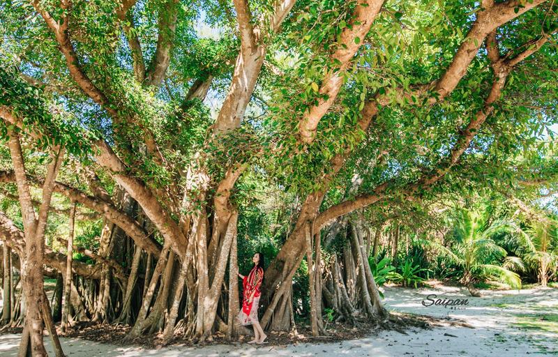 神秘的北纬15度遇见最美塞班,神秘的北纬45度