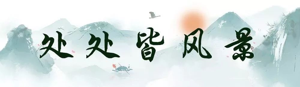 最漂亮的雨花台,雨花台风景太美了