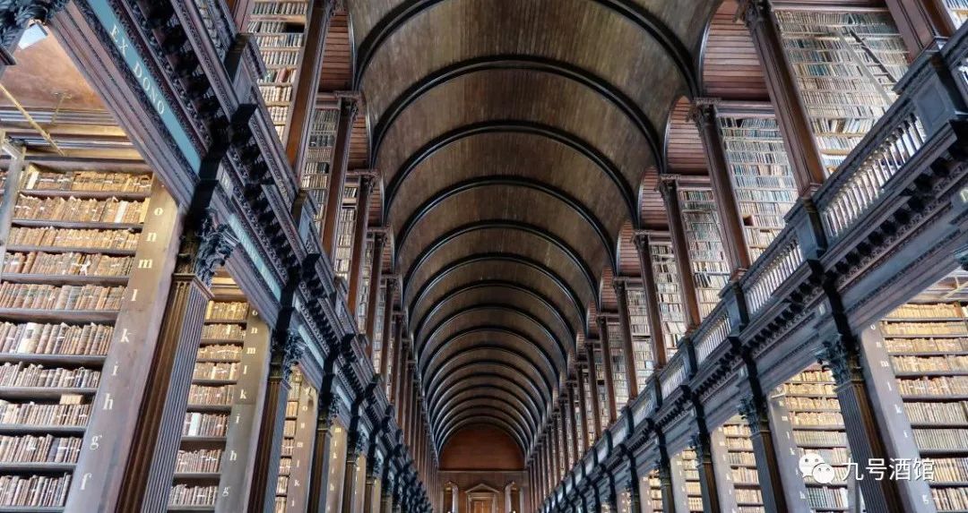 飞鸟越过珊瑚海,飞鸟越过山林