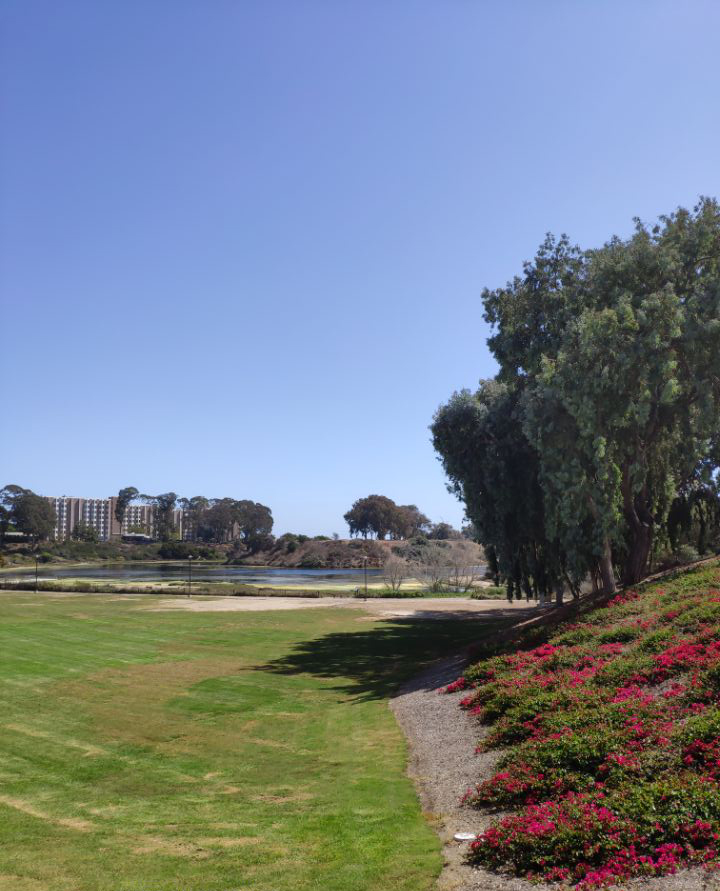 乔治梅森大学博士就业,乔治梅森大学就读博士优势