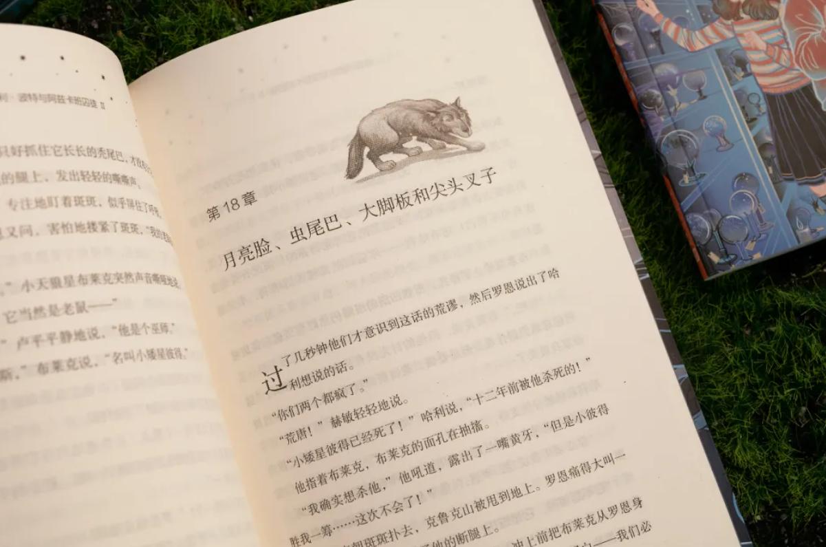 哈利波特二十周年纪念版书,哈利波特100个感悟