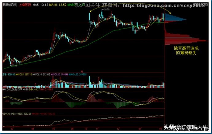 筹码分布战法全套讲解,筹码分布运用详解大全