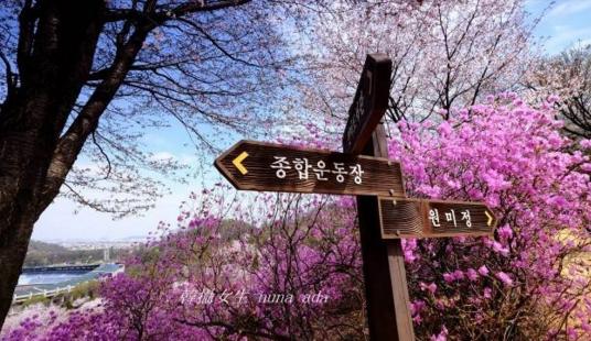 韩国十大城市人口,韩国前十大城市