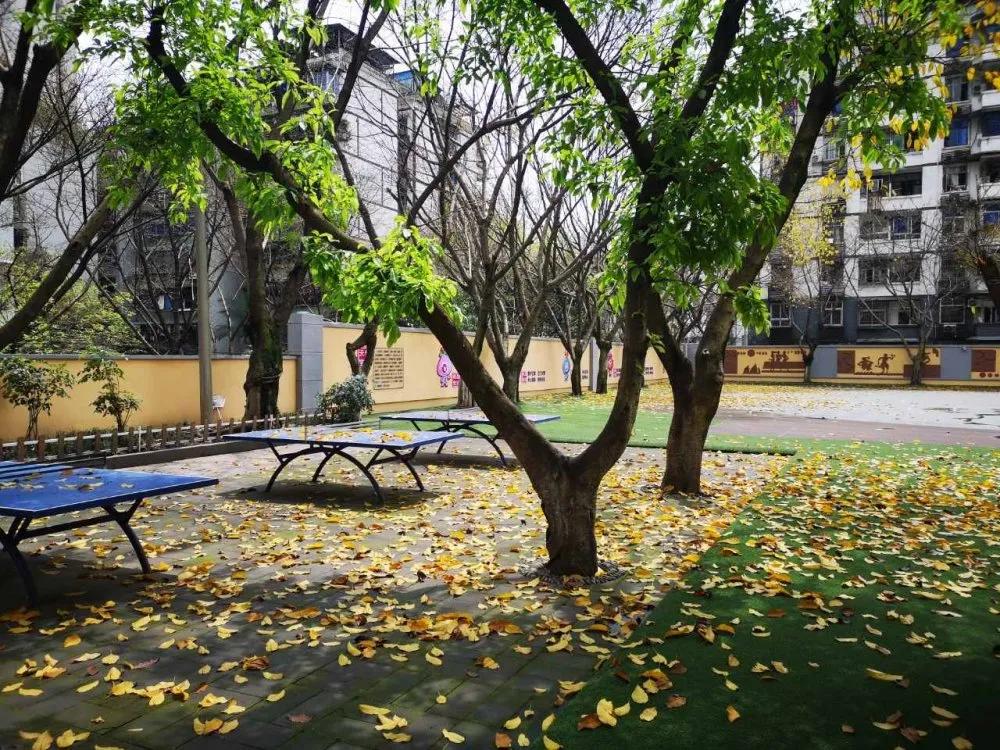 天台岗小学南岸区,重庆天台岗小学花园校区入学要求