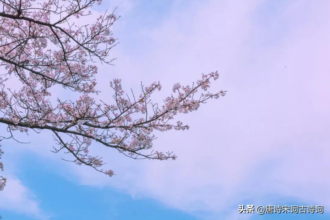 有关写笑的诗词,你知道有哪些带有笑的古诗