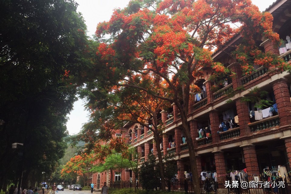福建厦门十大旅游景点,福建厦门旅游十大必去景区