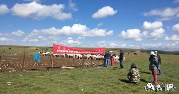 新疆华凌农牧科技开发有限公司,华凌农牧业