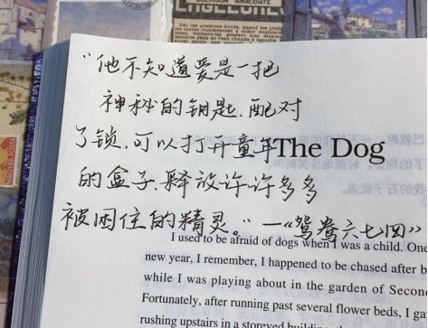 韩系文案拽,韩系文案高级感