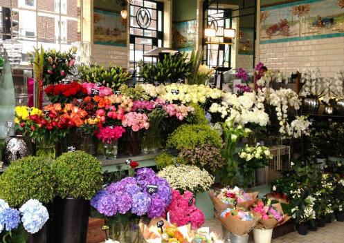 如何在网上买花苗,为什么在网上买花苗那么便宜