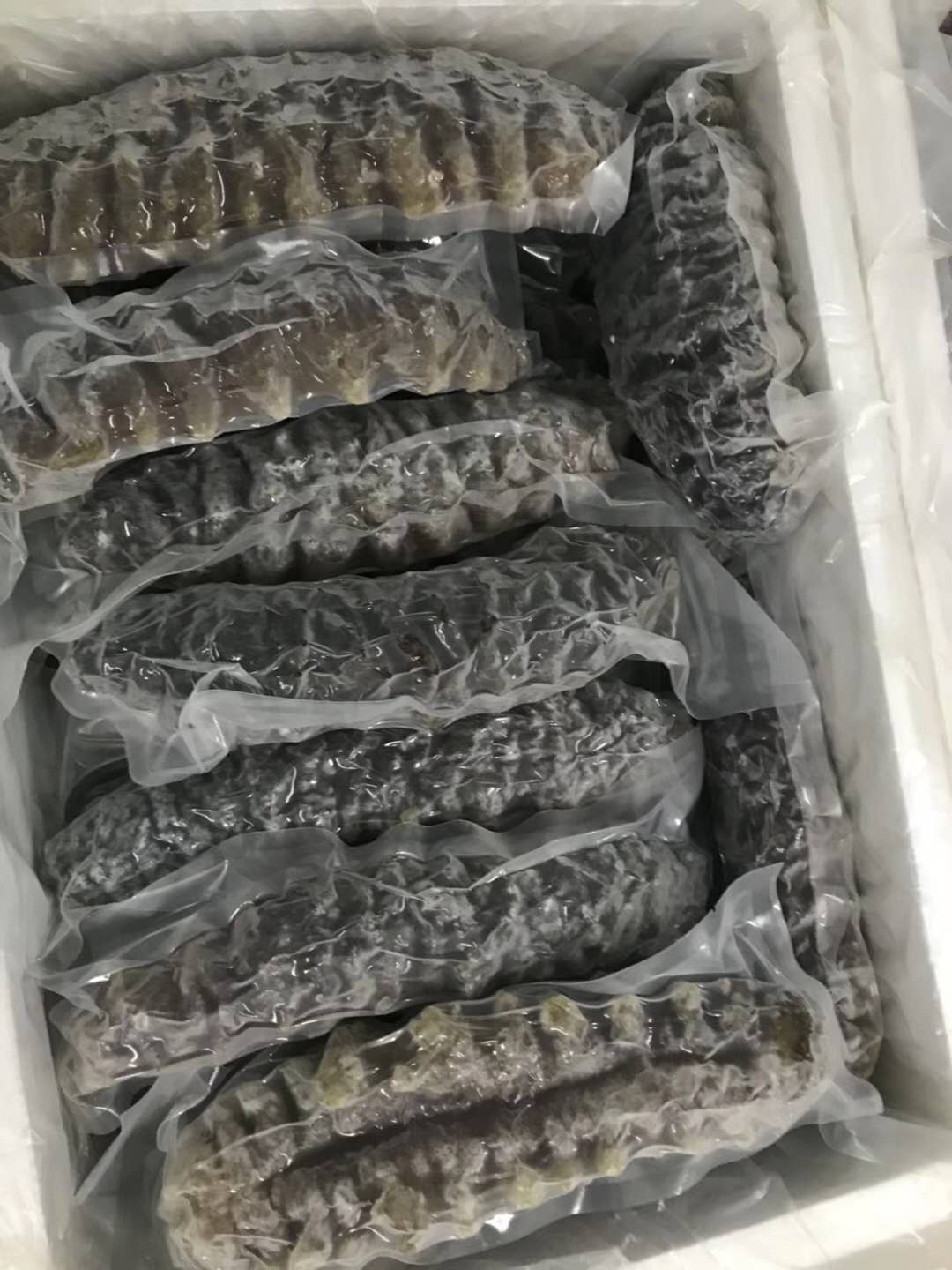 海参属于什么菜系,海参是山东特产吗