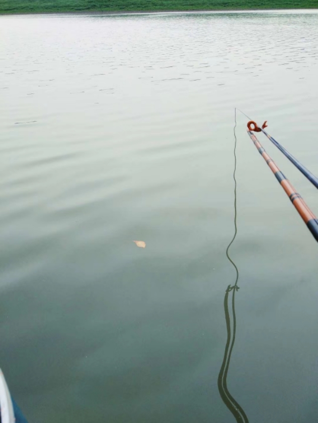 钓鱼新手入坑指南,新手钓鱼入坑建议路滑吗