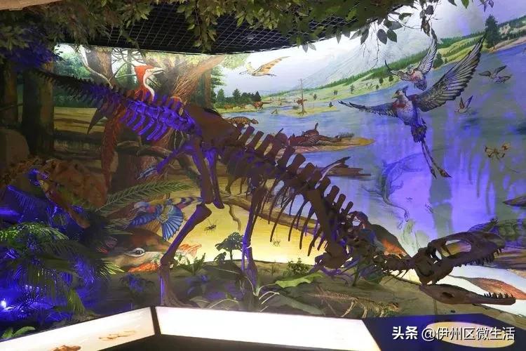 走进巴州博物馆,走进新疆博物馆