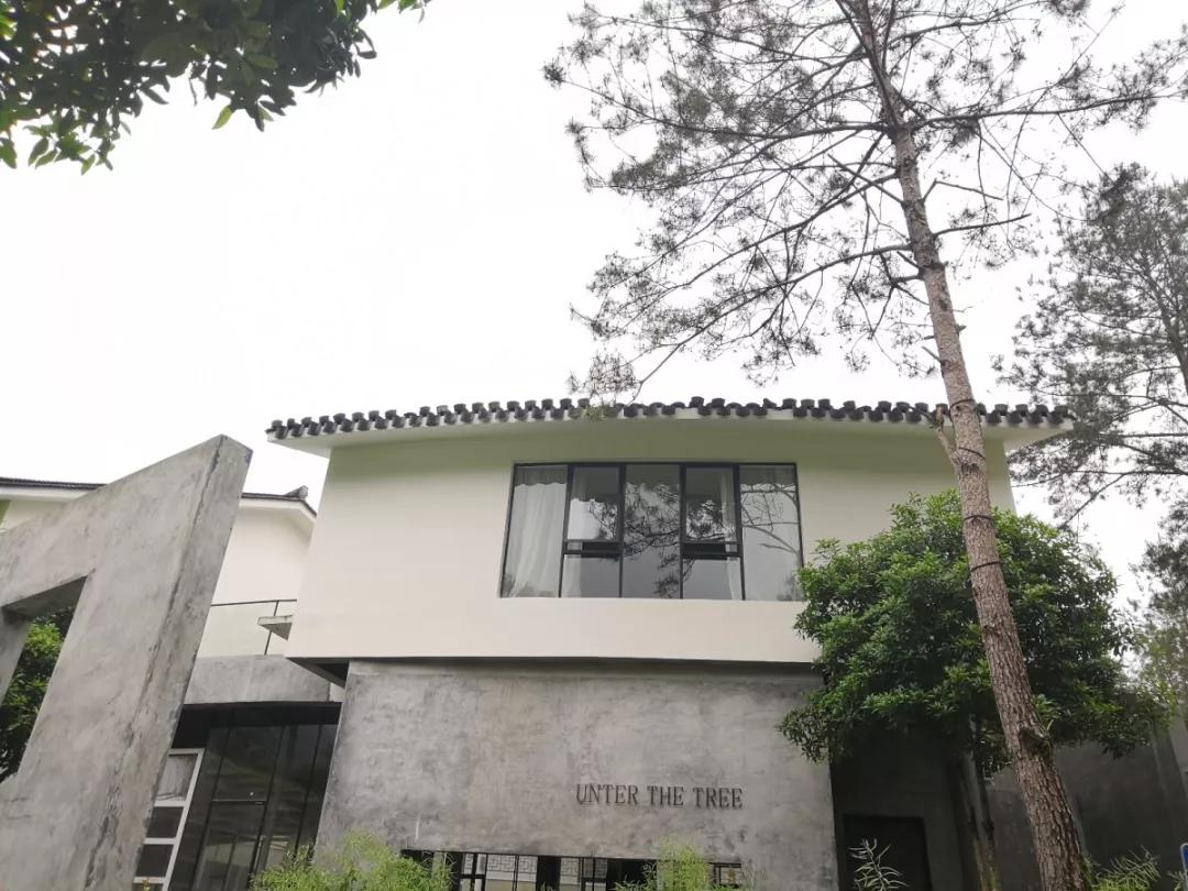 楠溪民宿真赞！推荐一批楠溪江畔精品民宿，你住过吗？（一）