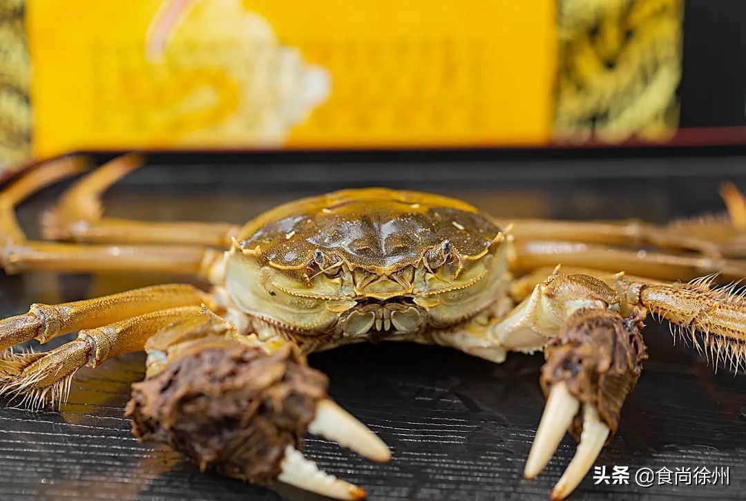 吃阳澄湖大闸蟹地方,吃阳澄湖大闸蟹的最佳地方在哪